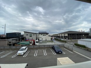 浜の宮駅 徒歩15分 1階の物件内観写真